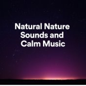 Natural Nature Sounds and Calm Music