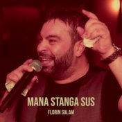 Mana Stanga Sus