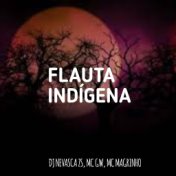 Flauta indígena