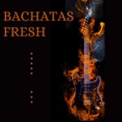 Bachatas fresh