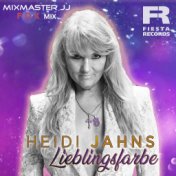 Lieblingsfarbe (Mixmaster JJ Fox Mix)