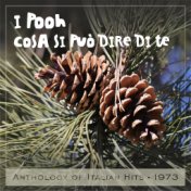 Cosa si puo dire di te (Anthology of Italian Hits 1973)