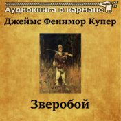 Джеймс Фенимор Купер - Зверобой