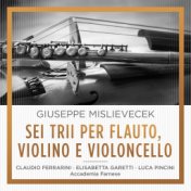 Giuseppe Mislievecek: Accademia Farnese Sei Trii per Flauto, Violino e Violoncello