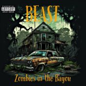 Zombies in the Bayou