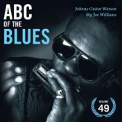 Abc of the Blues Vol. 49