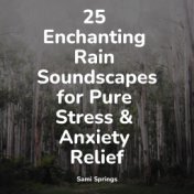 25 Enchanting Rain Soundscapes for Pure Stress & Anxiety Relief