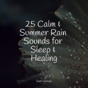25 Calm & Summer Rain Sounds for Sleep & Healing