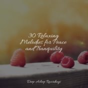 30 Relaxing Melodies for Peace and Tranquility