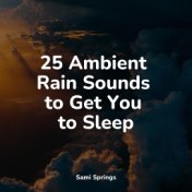 25 Ambient Rain Sounds to Get You to Sleep