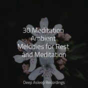 30 Meditation Ambient Melodies for Rest and Meditation