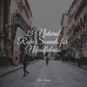 25 Natural Rain Sounds for Mindfulness