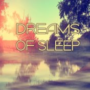 Dreams of Sleep