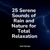 25 Serene Sounds of Rain and Nature for Total Relaxation
