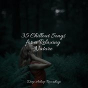 35 Chillout Songs for a Relaxing Nature