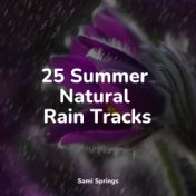 25 Summer Natural Rain Tracks