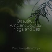 Beautiful Ambient Sounds | Yoga and Spa