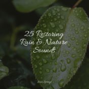 25 Restoring Rain & Nature Sounds