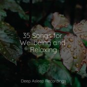 35 Songs for Wellbeing and Relaxing