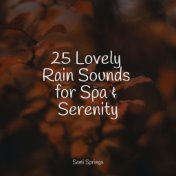 25 Lovely Rain Sounds for Spa & Serenity