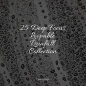 25 Deep Focus Loopable Rainfall Collection