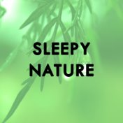 Sleepy Nature