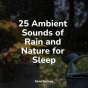 25 Ambient Sounds of Rain and Nature for Sleep