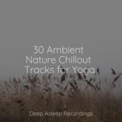 30 Ambient Nature Chillout Tracks for Yoga