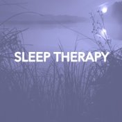 Sleep Therapy