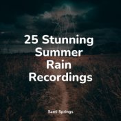 25 Stunning Summer Rain Recordings