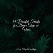 35 Peaceful Tracks for Deep Sleep & Vibes