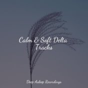 Calm & Soft Delta Tracks