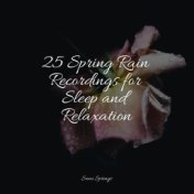 25 Spring Rain Recordings for Sleep and Relaxation