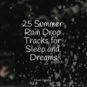 25 Summer Rain Drop Tracks for Sleep and Dreams