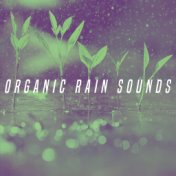 Organic Rain Sounds