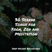 30 Serene Songs for Yoga, Zen and Meditation