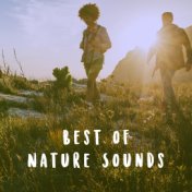 Best of Nature Sounds