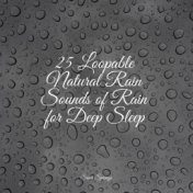 25 Loopable Natural Rain Sounds of Rain for Deep Sleep