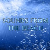 Sounds from the Beach