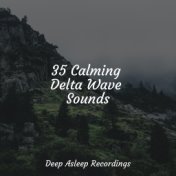 35 Calming Delta Wave Sounds