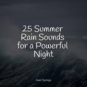 25 Summer Rain Sounds for a Powerful Night