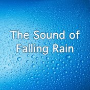 The Sound Of Falling Rain