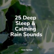 25 Deep Sleep & Calming Rain Sounds