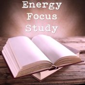 Energy Focus Study