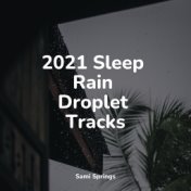 2021 Sleep Rain Droplet Tracks