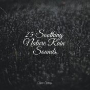 25 Soothing Nature Rain Sounds