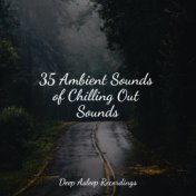 35 Ambient Sounds of Chilling Out Sounds