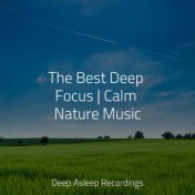 The Best Deep Focus | Calm Nature Music