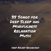 35 Songs for Deep Sleep and Mindfulness Relaxation Music