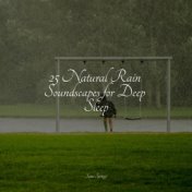 25 Natural Rain Soundscapes for Deep Sleep